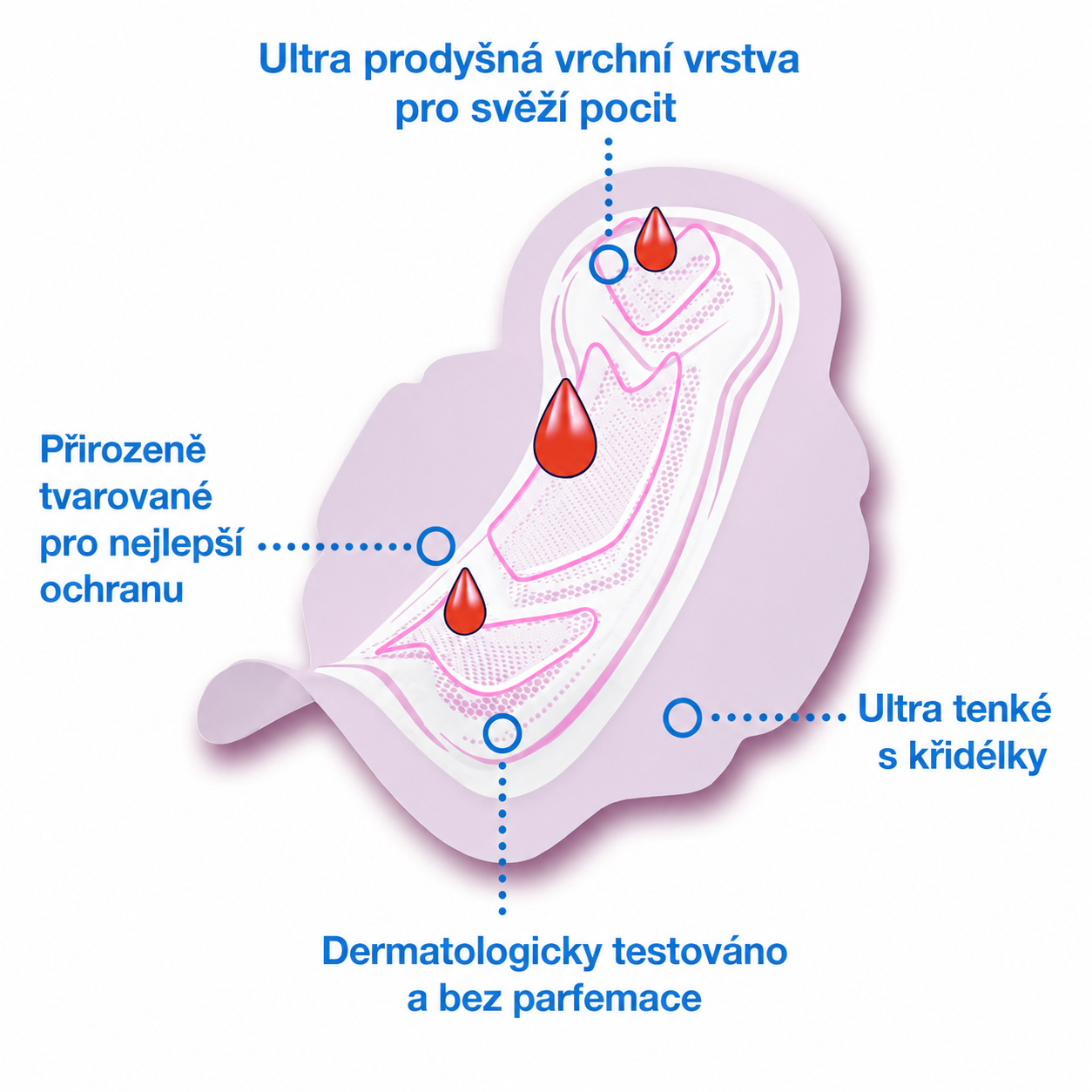 Obrázek (1)